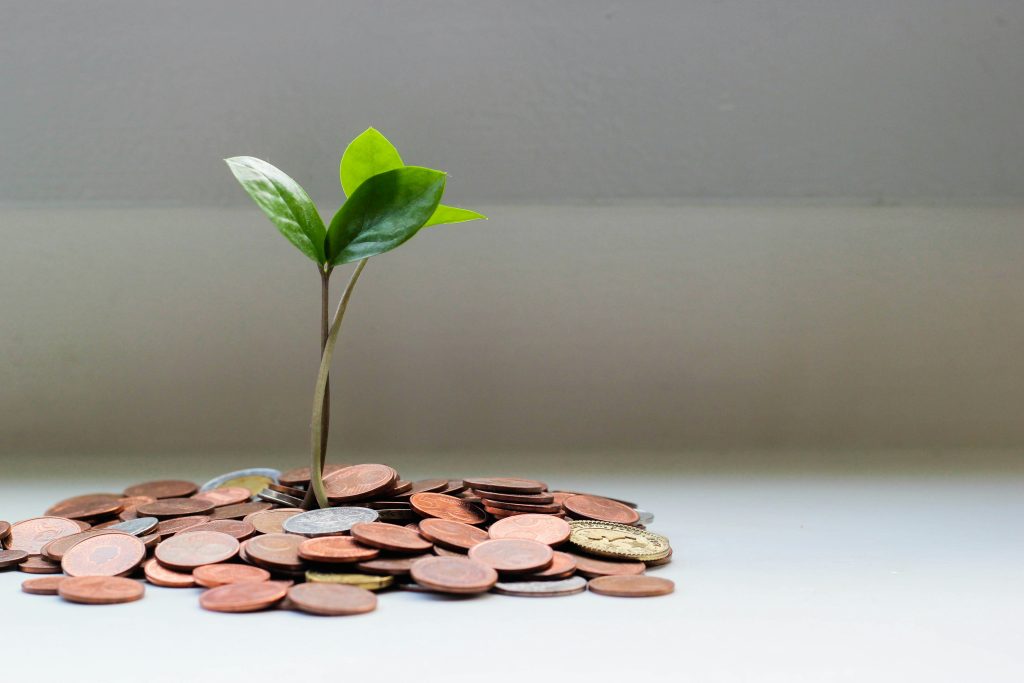Management Financiar